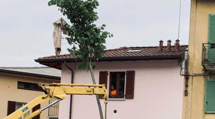 Acquate. Piantato un nuovo tiglio in piazza della Vittoria