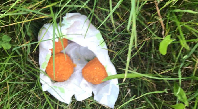 Brivio, polpette sospette in zona cimitero: l’allarme dei residenti