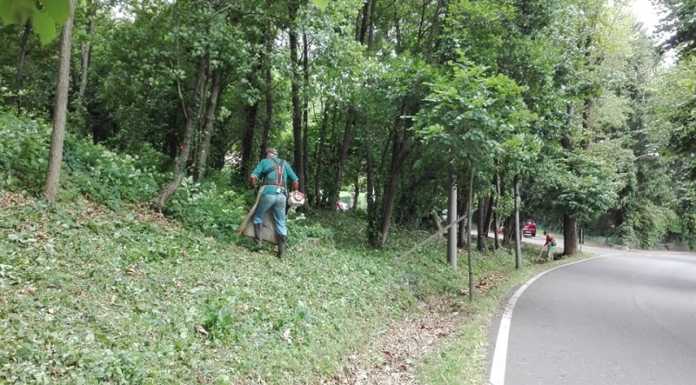 Imbersago, nuova domenica di lavoro per i volontari del gruppo ecologico