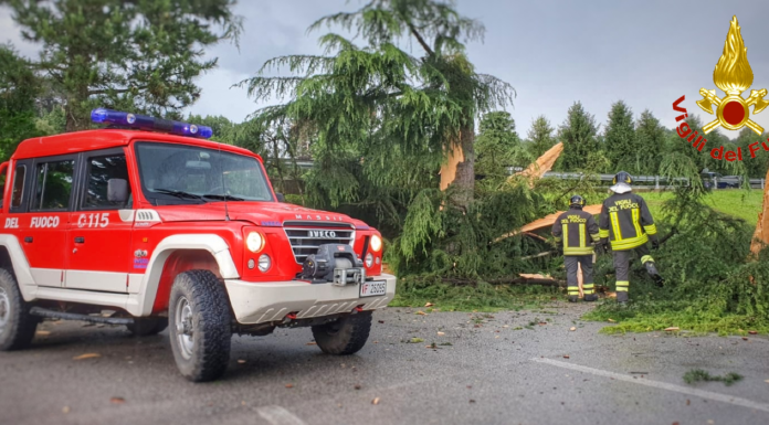 Barzago. Fulmine colpisce un albero di 20 metri, intervento dei vigili del fuoco