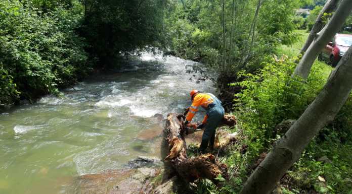 Olgiate, due tronchi nel Molgora: li rimuove la protezione civile del Parco del Curone