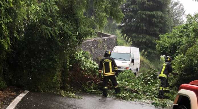 Calolzio. Il vento sradica un albero a Rossino, strada chiusa per 40 minuti