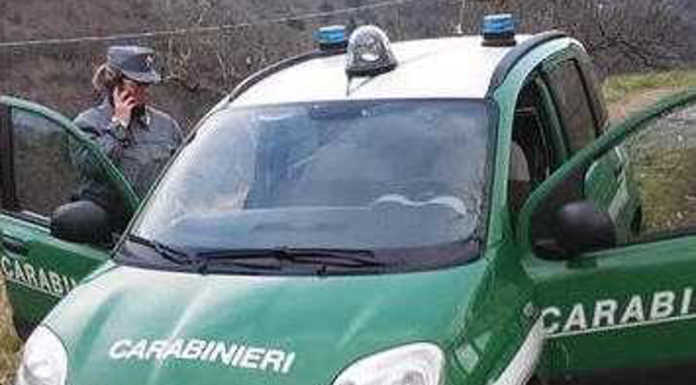 Accorpamento dei Forestali, i Civici: “Ennesima penalizzazione”