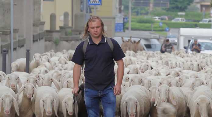 Il fiume che sale: il poetico video della transumanza firmato Carlo Limonta