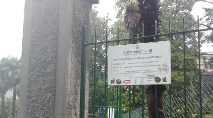 Elezioni. La coalizione del centro sinistra al parco Belvedere per piantare un albero