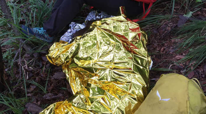 Mandello. Cane disperso per 3 giorni, il racconto del salvataggio