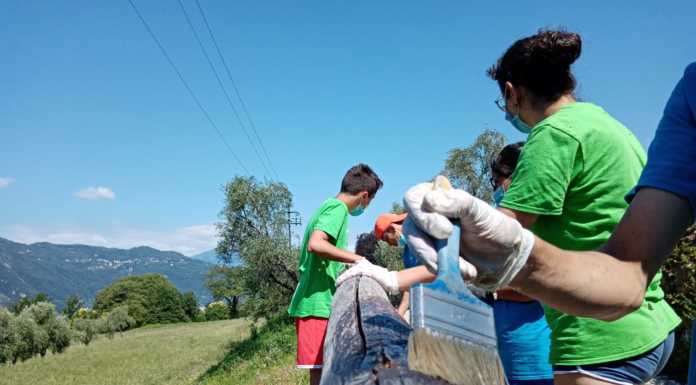 Util Primavera Valsassina: una opportunità per dieci giovani