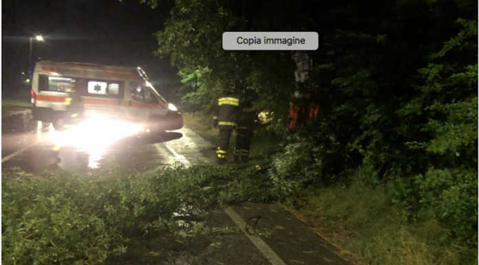 Maltempo, alcuni alberi caduti nella notte tra Calolzio e Galbiate