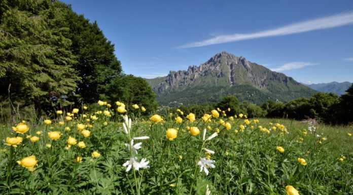 Piani Resinelli: al via un’estate da vivere nel cuore delle Grigne
