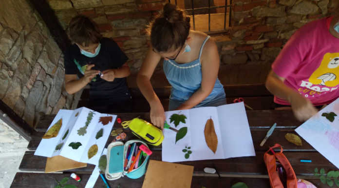 Parco del Curone: ancora qualche posto disponibile per il centro Estate verde Estate Verde Parco del Curone