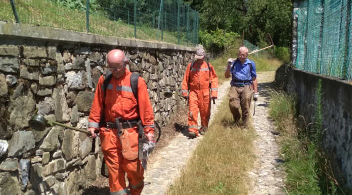 Olgiate, a rischio il gruppo antincendio boschivo. “Convenzione da rivedere”