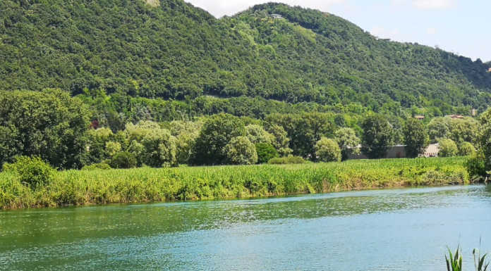 Parco Adda Nord. La giunta regionale approva il piano di indirizzo forestale Brivio