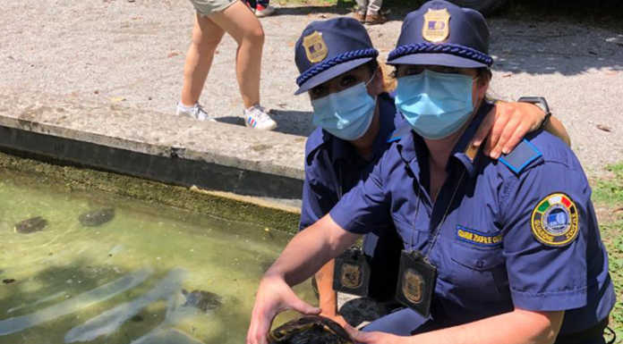 “Tartaday” a Molteno con le guardie Oipa che salvano anche un riccio