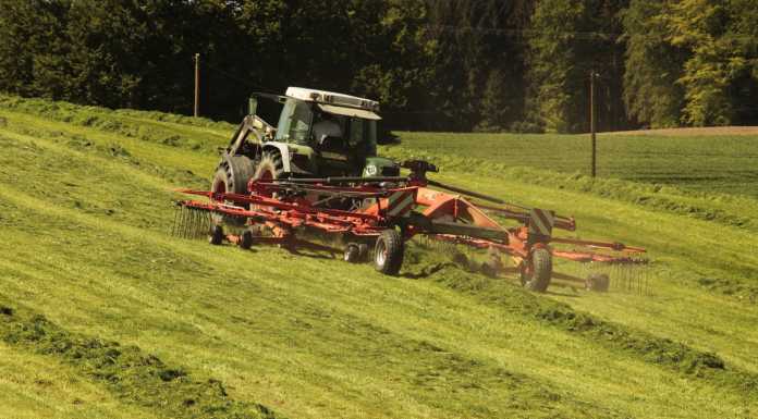Agricoltura e sicurezza sul lavoro, Coldiretti: “Bene il nuovo bando Inail”