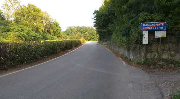 Potata la siepe dello “spaccio”, usata dai pusher per nascondersi