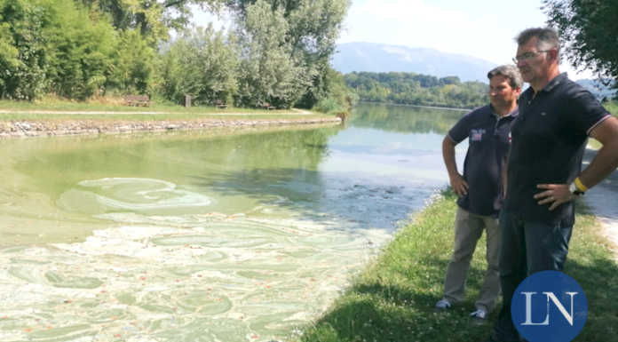 Merate, risanamento del lago di Sartirana: chiesti 2.500.000 euro alla Regione