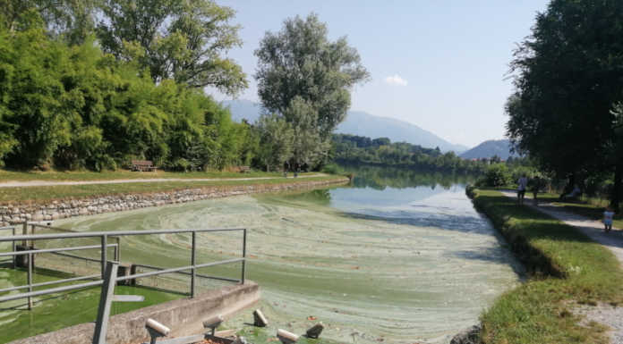 Lago di Sartirana, interrogazione del consigliere regionale Fumagalli: “La Regione si attivi subito”