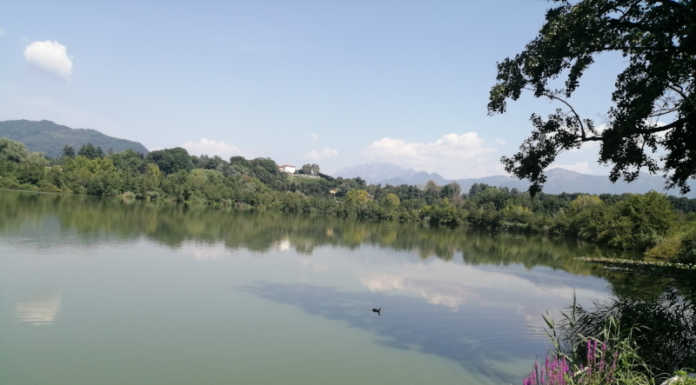 Cambia Merate interroga sulla gestione della riserva del lago di Sartirana