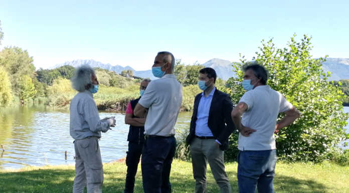 Moria di pesci al lago, Cambia Merate: “La Giunta responsabile morale della mattanza”