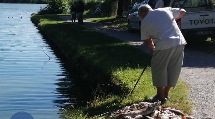 Merate, lago di Sartirana: in consiglio di gestione il piano di risanamento