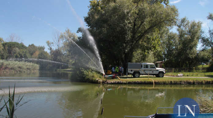 Merate, 15 quintali i pesci morti nel lago. Risaliti i livelli di ossigeno, stop alle motopompe
