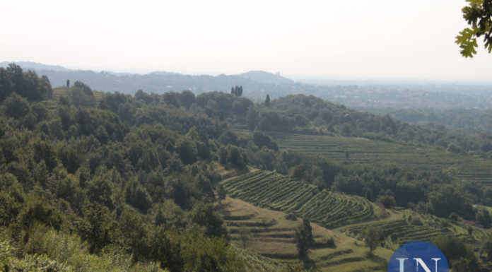 Parco del Curone: un’oasi verde nel cuore della Brianza