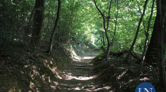 Valle della Nava, il sentiero deve riaprire: Casatenovo vince la causa