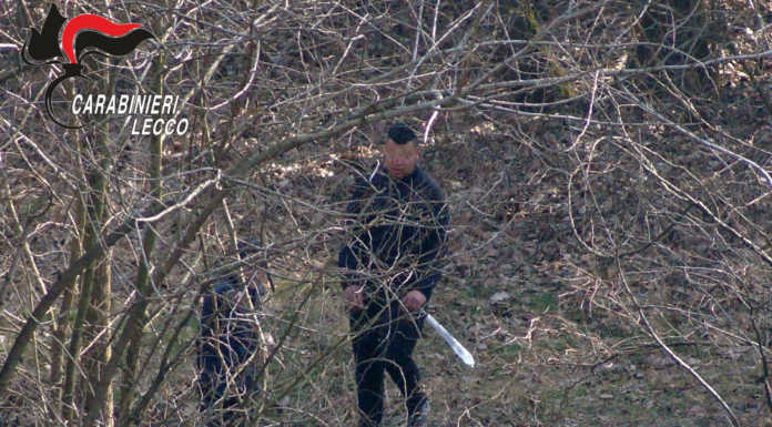Spacciatori col machete, arrestati. Gestivano gli ‘affari’ nei boschi della droga