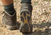 Nasce la “Via Montagna Lombarda”: 800 km di sentieri che comprendono anche il Viandante