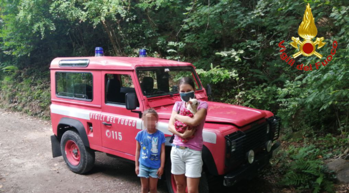 Lecco. Cagnolino in difficoltà, lo salvano i Vigili del Fuoco
