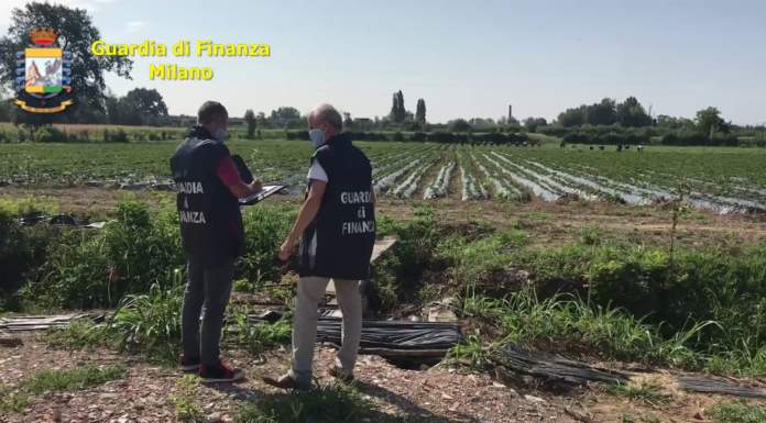 Sfruttavano i migranti nelle campagne: sette denunce nel milanese