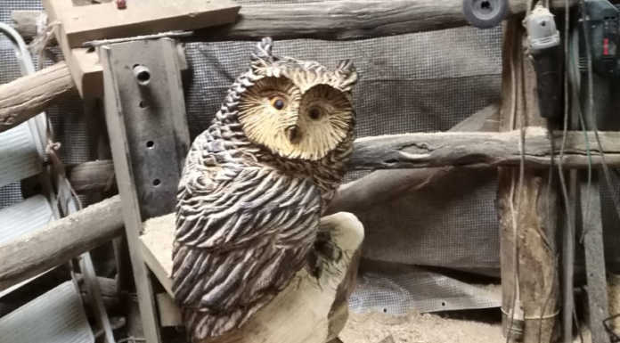 Casargo. Inizio d’agosto col botto: tanti gli eventi programmati