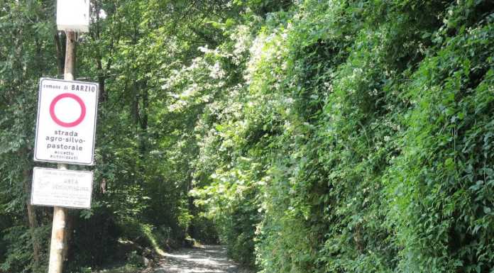 Appaltati i lavori sulla strada agro silvo pastorale Barzio-Piani di Bobbio
