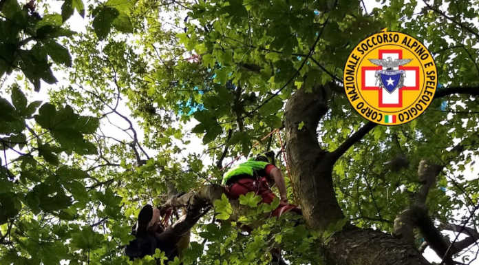 Cornizzolo. In volo con il parapendio finisce contro un albero, soccorso