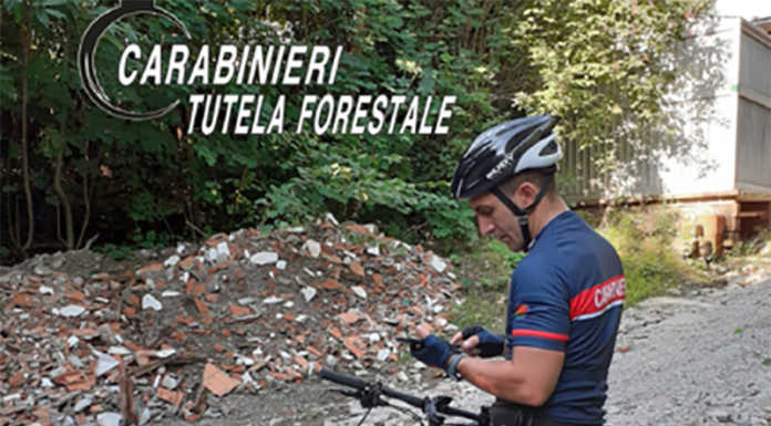 Rifiuti abbandonati sul lago ad Annone, i forestali rintracciano i responsabili