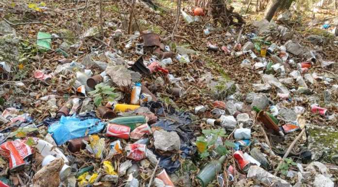 La bella Neguggio deturpata dai rifiuti: una discarica nel bosco