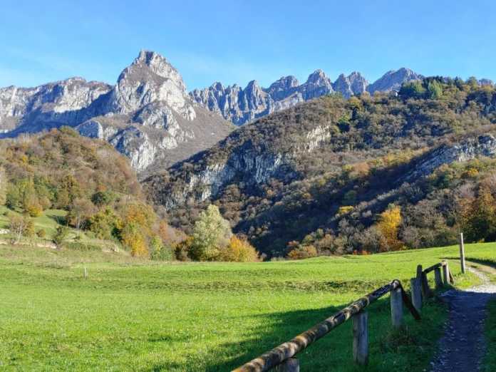 Lecco_Neguggio_ Spazzatura_20201030 (3)