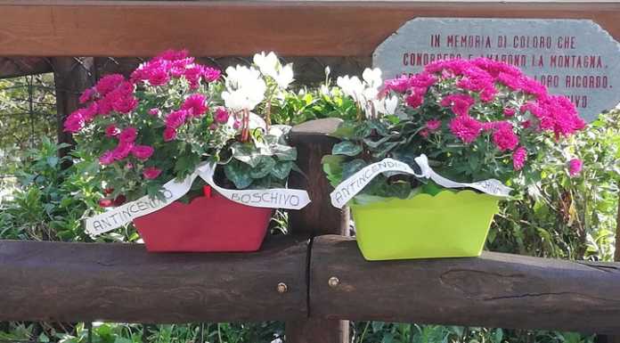 Il Gruppo Antincendio ricorda i defunti, fiori davanti alla bacheca ai piedi del S. Martino
