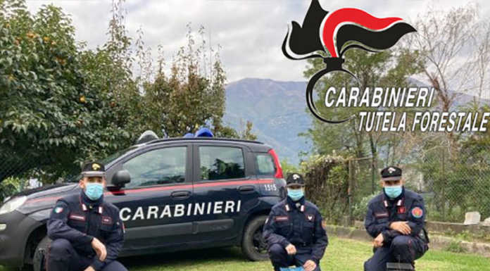 Bracconaggio: tre persone denunciate a Colico e nel parco del Curone