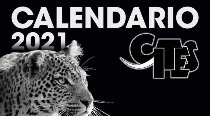 Il Raggruppamento Carabinieri CITES presenta il calendario 2021