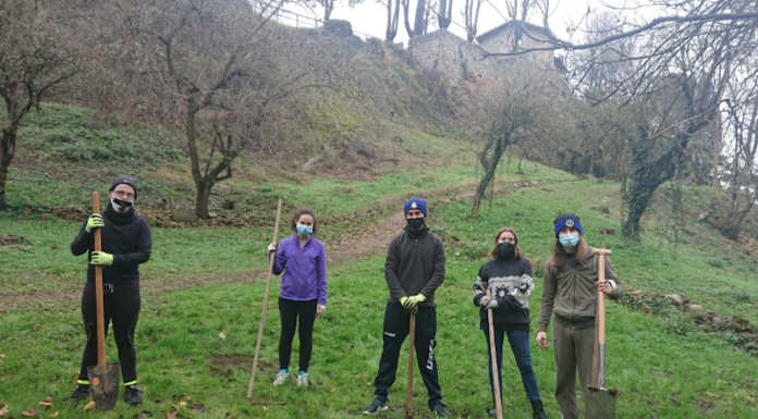 Paderno, giornata di piantumazioni allo Stallazzo grazie alla Consulta giovani