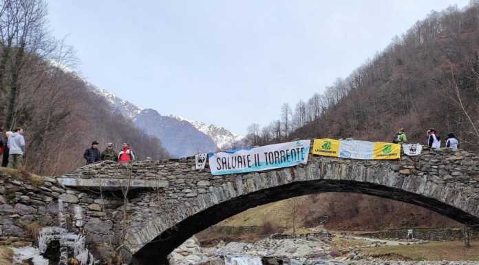 Idroelettrico sul Fraina, il WWF: “A Premana la battaglia è stata definitivamente vinta”