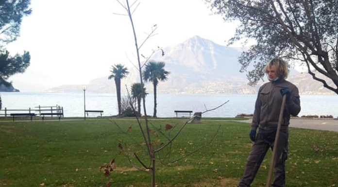 Bellano, cinque alberi piantati per ricordare le vittime del Covid