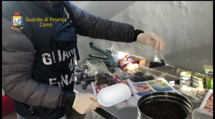 Cologno. Nove tonnellate di alimenti sequestrati: falsa provenienza e scarso igiene