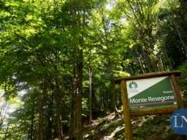 Oltre 1,7 milioni in provincia di Lecco per prevenzione e ripristino danni alle foreste foresta resegone