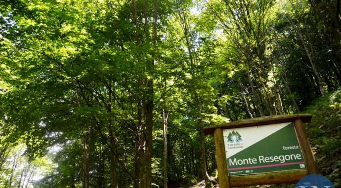 Lecco, Introbio e Morterone firmano la Carta delle Foreste foresta resegone
