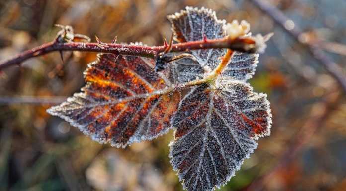 Meteo. Freddo in arrivo dal fine settimana: calano le temperature