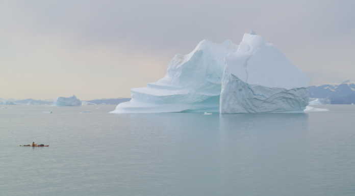 Ragni around the world: dal 21 novembre comincia “La grande caccia allo squalo”