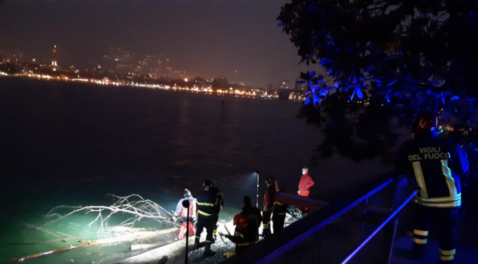 Malgrate, albero in acqua: sommozzatori al lavoro per il ‘taglio’