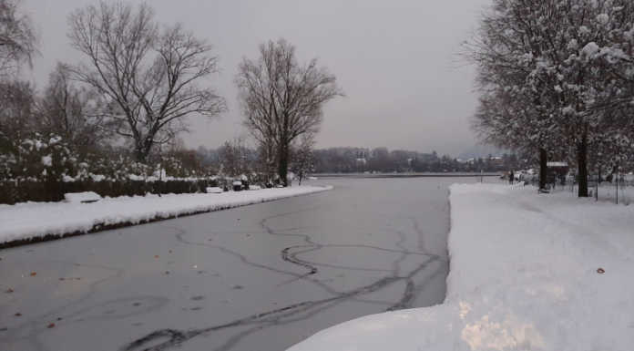 Lago di Sartirana: quattro osservazioni del Comitato civico ambiente su zone, pesca, divieti, flora e fauna